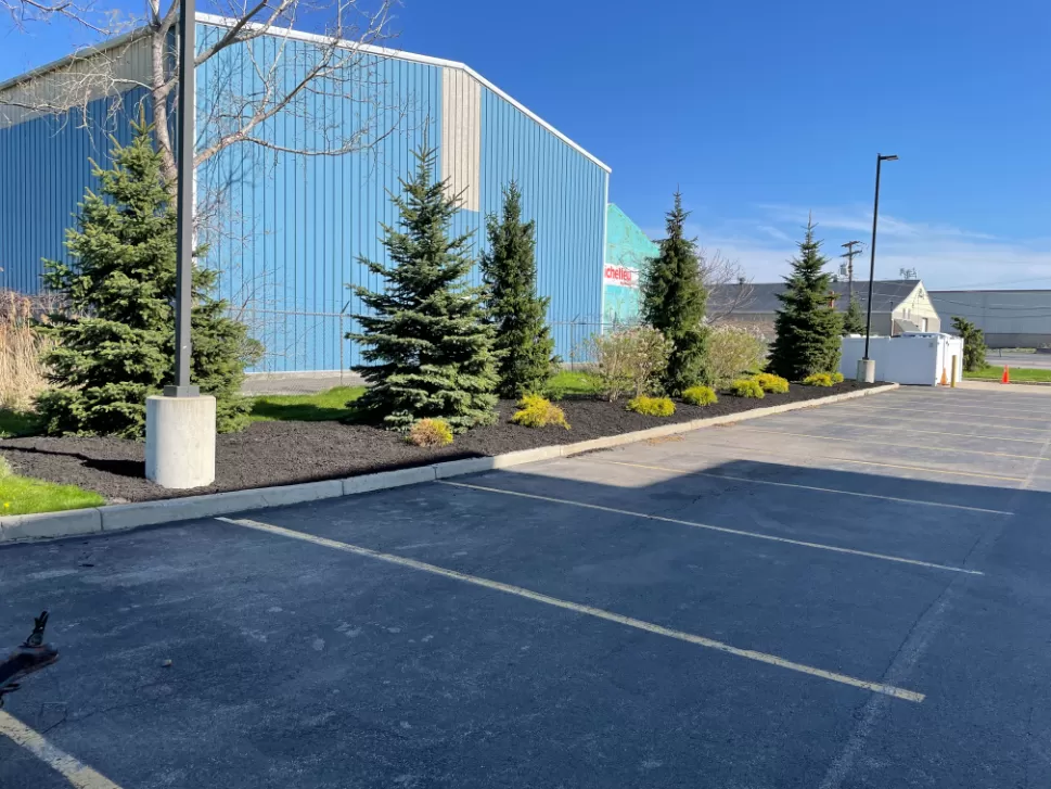 Commercial Landscaping in Cheektowaga, NY
