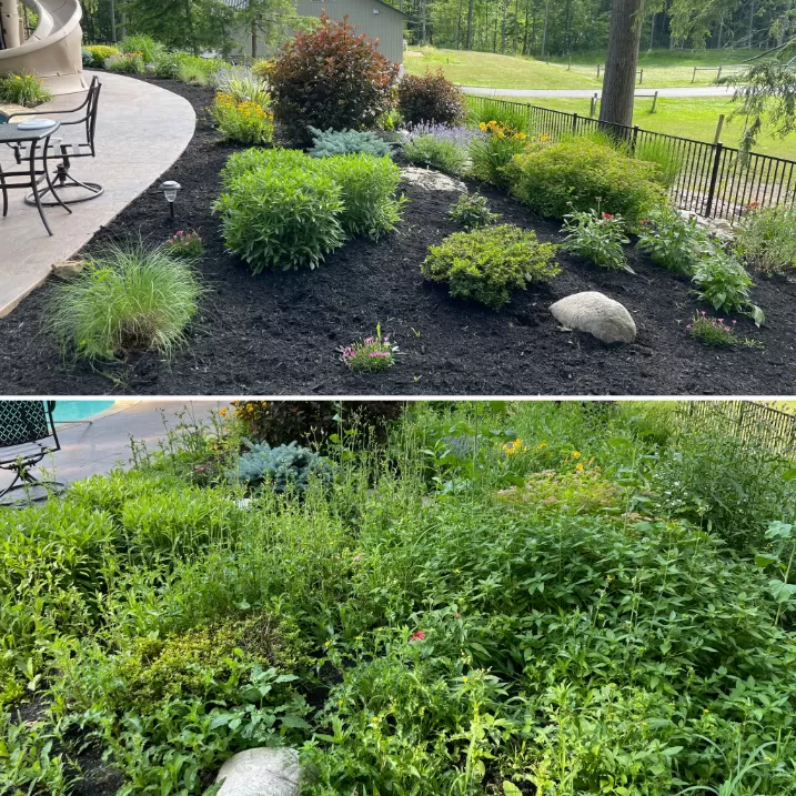 60 Yard Much Installation in Orchard Park, NY